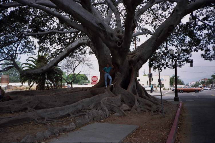 USA_1990-05-12 00-00-01_R02F29
